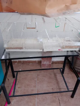 Jaulas y mesa para apollar jaulas