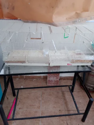 Jaulas y mesa para apollar jaulas