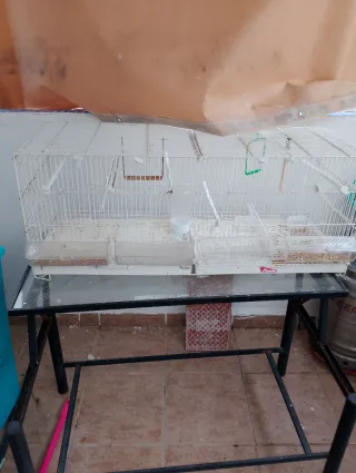 Jaulas y mesa para apollar jaulas