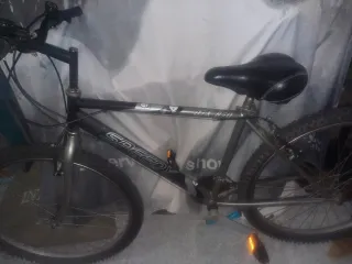 Bicicleta Speedy DX 850
