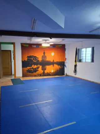 40 unità Tatami EVA spessore 2,5 cm