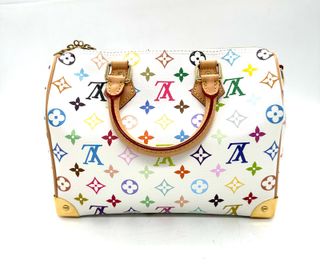 Louis Vuitton Speedy 25 Murakami Multicolor
