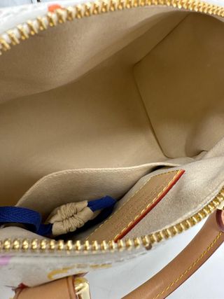 Louis Vuitton Speedy 25 Murakami Multicolor