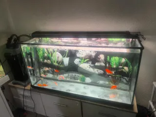 Acuario 200L 1m