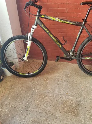 Bicicleta Orbea