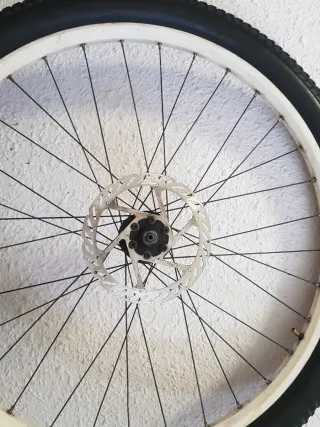 Rueda Bici Delantera de montaña Disco Freno