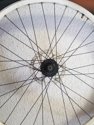 Rueda Bici Delantera de montaña Disco Freno