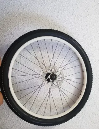 Rueda Bici Delantera de montaña Disco Freno
