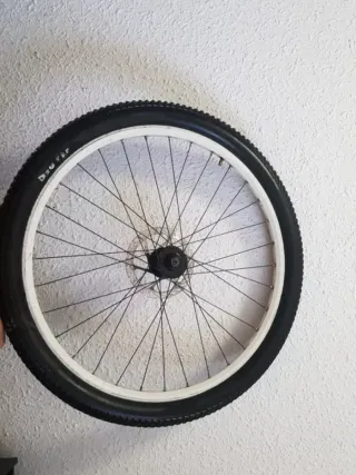 Rueda Bici Delantera de montaña Disco Freno