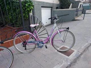 Bicicletas de paseo.