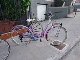 Bicicletas de paseo.
