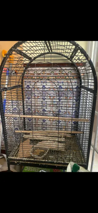 Jaula para loros