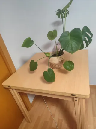 Mesa de comedor de madera