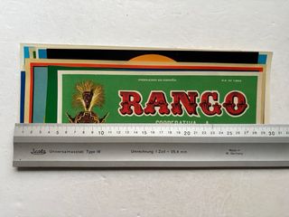 20 antiguas etiquetas de naranjas, años 1950-1960