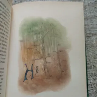 Domenica.narrativa (Espasa narrativa) (Spanish ...