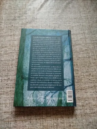 Domenica.narrativa (Espasa narrativa) (Spanish ...