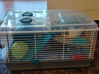 Jaula Hámster Transparente y azul