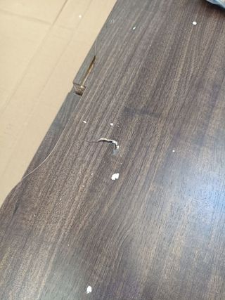 Iris Ohyama Soporte de TV Mueble de TV hasta 65"