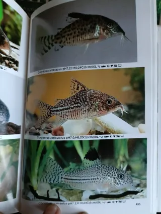 Mini Atlas de Peces de Acuario (Spanish Edition)