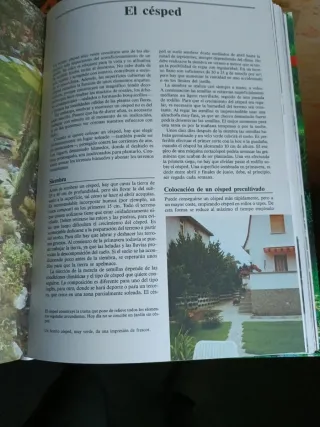 enciclopedia de la jardineria