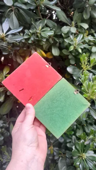 Coppia Quadretti Dipinti Vintage