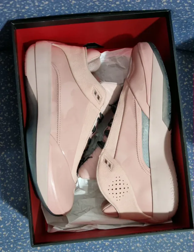 Zapatillas Nike Air Jordan Retro 40 "Dusty Rose"