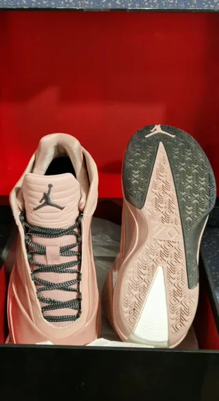 Zapatillas Nike Air Jordan Retro 40 "Dusty Rose"