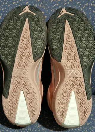 Zapatillas Nike Air Jordan Retro 40 "Dusty Rose"