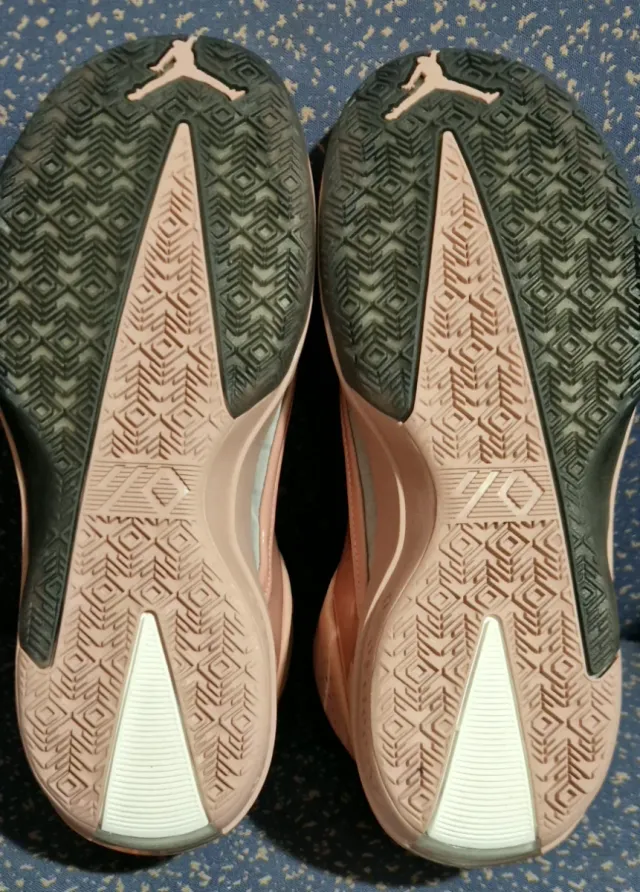 Zapatillas Nike Air Jordan Retro 40 "Dusty Rose"