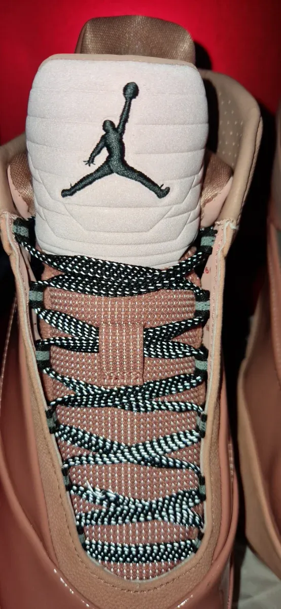 Zapatillas Nike Air Jordan Retro 40 "Dusty Rose"