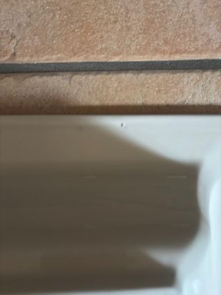 Piatto quadrato in ceramica Tiffany Boutique