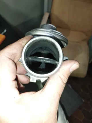 Colector Admisión y EGR Seat/Skoda