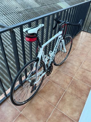 Bicicleta Orbea Orca Carbono Talla 53