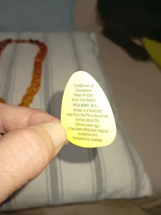Collar de ámbar báltico auténtico POLESP