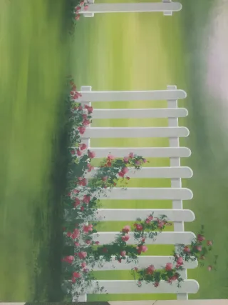 Fondo estudio lienzo jardín