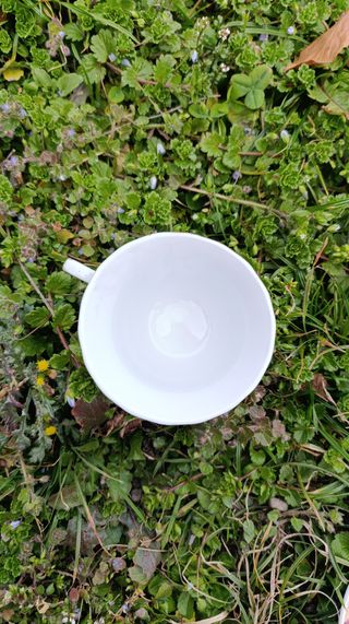 Tazza con piattino T. Limoges – rose rosa/gialle