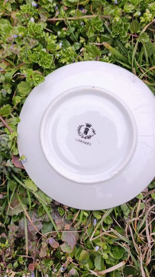 Tazza con piattino T. Limoges – rose rosa/gialle