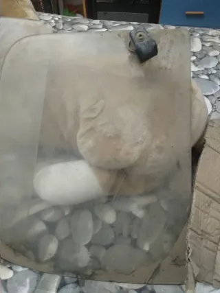 Cristales Renault 4 L original