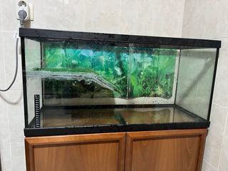 Tortuguera grande 100L Regalo mueble macizo
