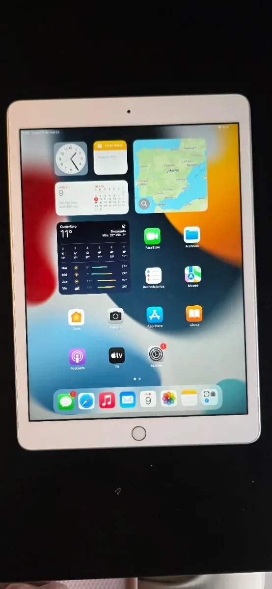 Apple iPad 8ª Generación Plata