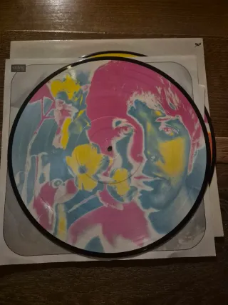 Doble Vinilo Picture Disc The Beatles