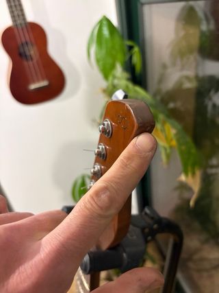 Sire T7 FM Transparent blue