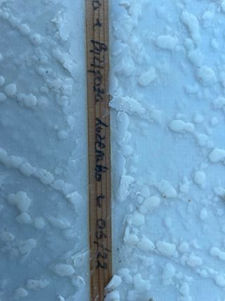 Tabla de surf Garmendia Noserider clásica 9.6