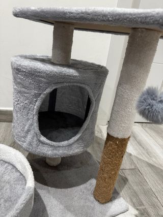 Piccola casa per gatti con letto e tiragraffi