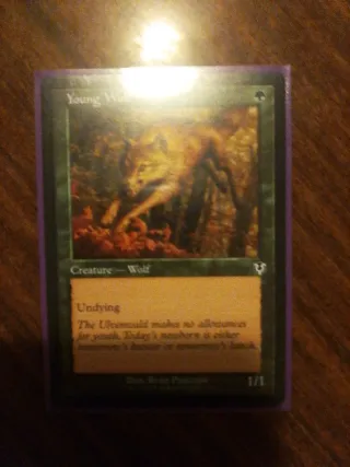 Carta Magic Young Wolf