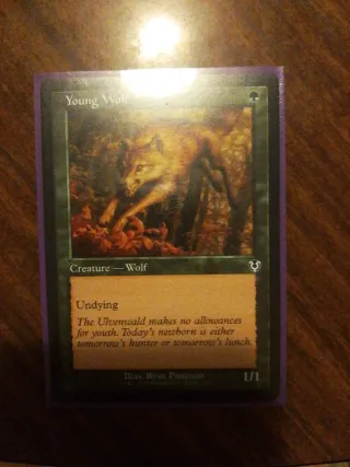 Carta Magic Young Wolf