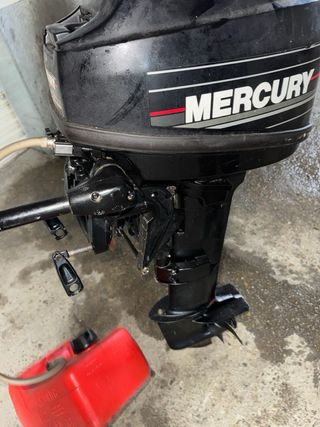 Motor fueraborda Mercury