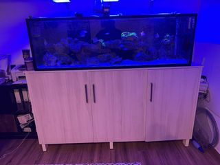 Acuario Marino Completo