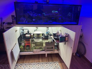 Acuario Marino Completo