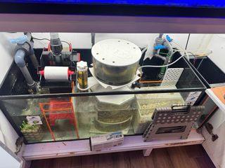 Acuario Marino Completo